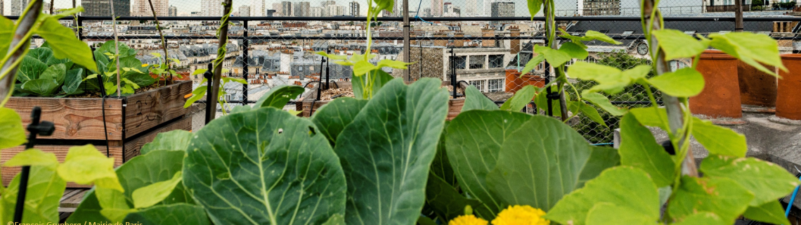 Innovations pour une agriculture urbaine durable