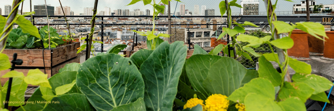 Innovations pour une agriculture urbaine durable