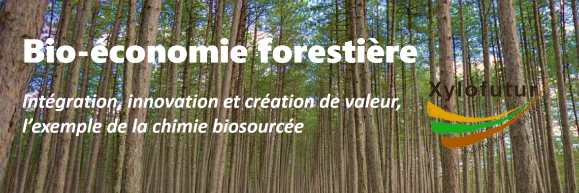 Webinaire Bio-économie forestière : intégration, innovation et création de valeur, l’exemple de la chimie biosourcée